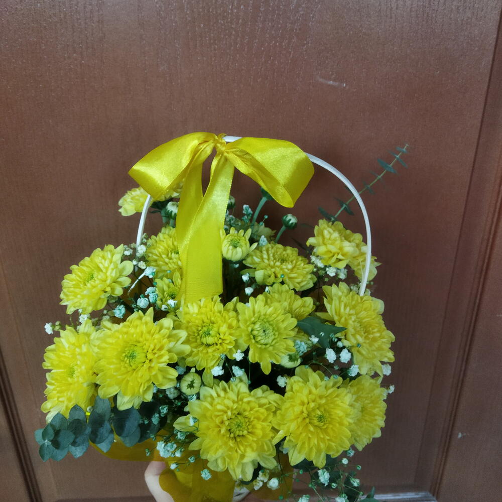Солнечное поле