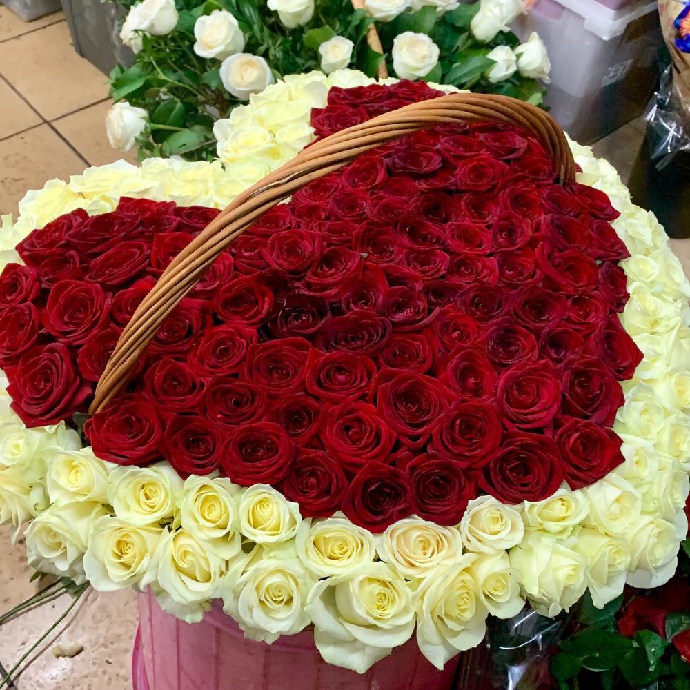 Средняя цена одной розы. Букет роз Грозный. Розы в Грозном. Азербайджанские розы.