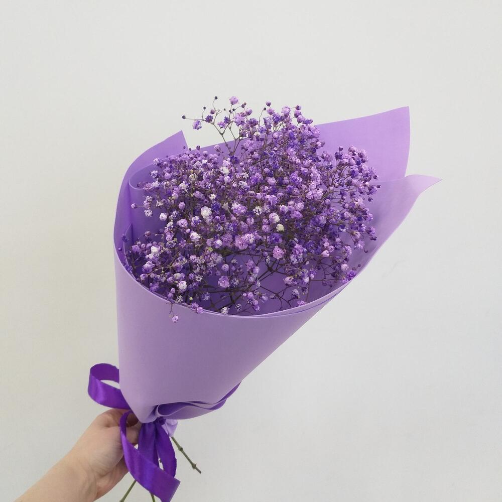 Violetta