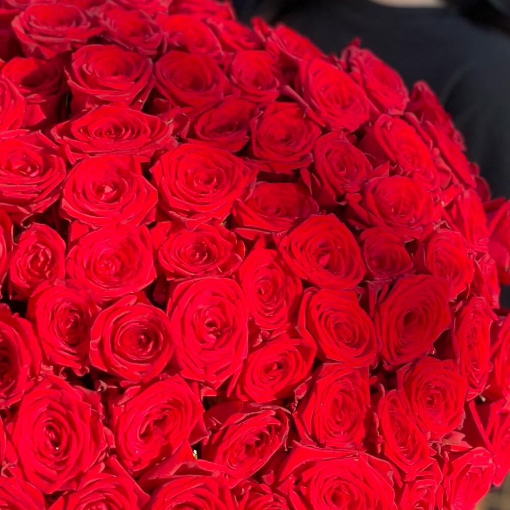 101 Роза🌹