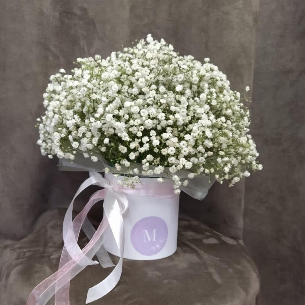 An air cloud of gypsophila in a box