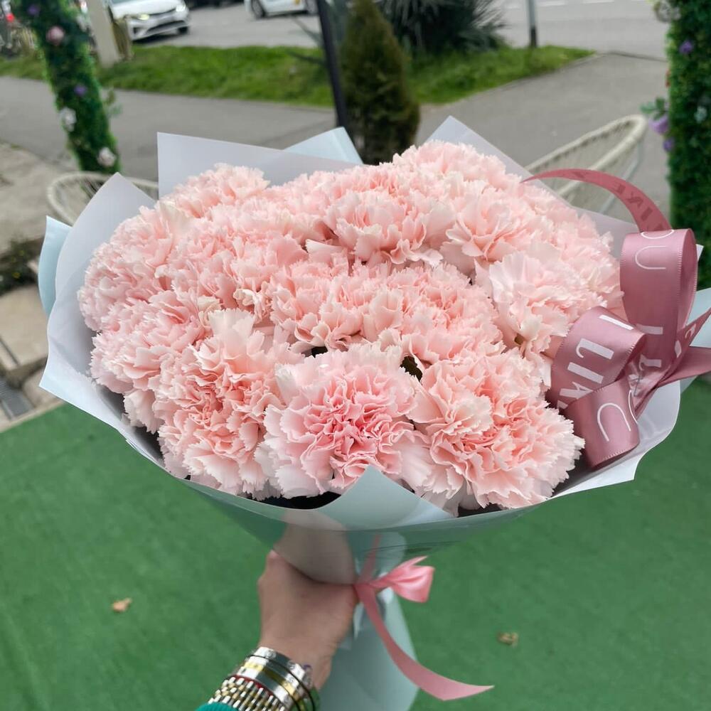 17 нежных диантусов
