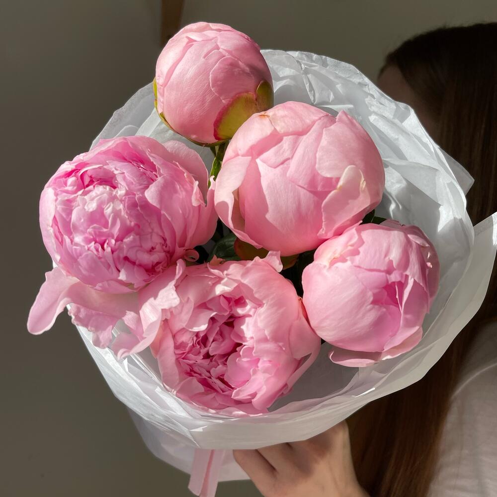 5 розовых пионов