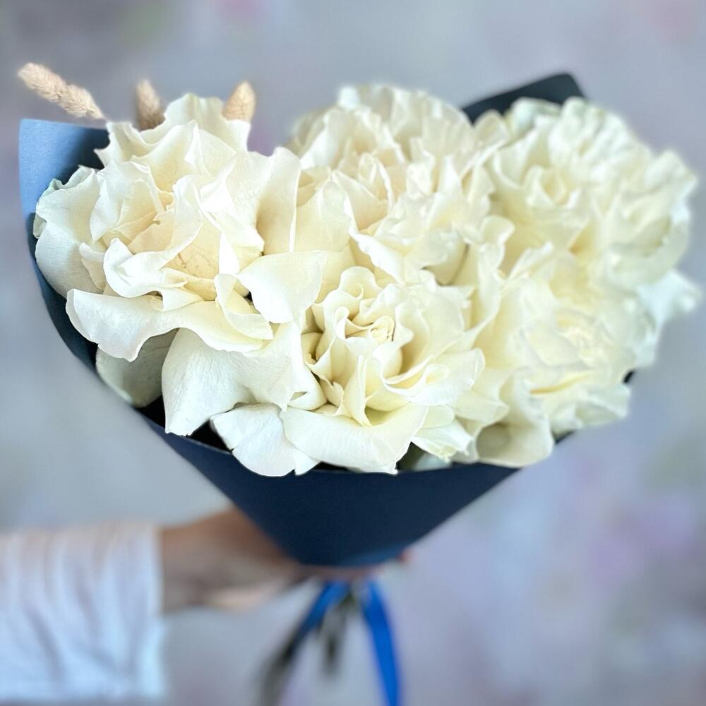 Роза французская