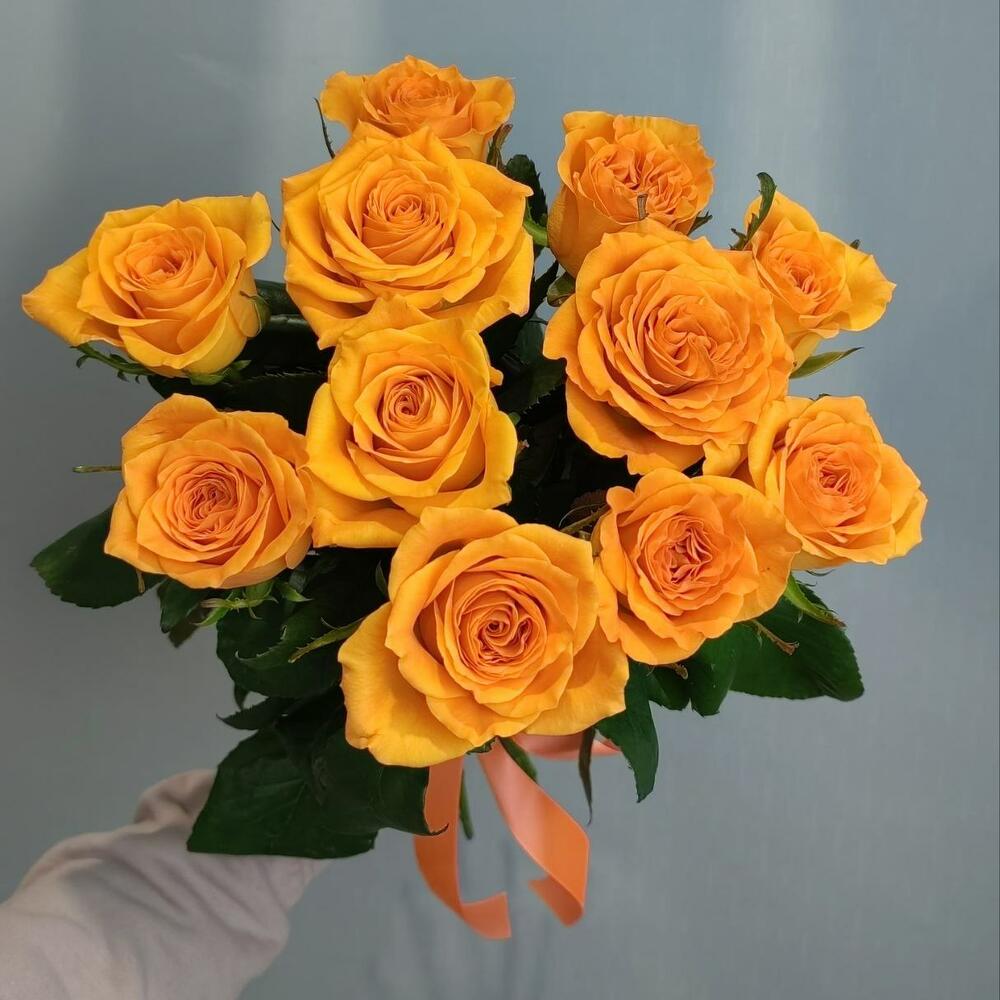 Роза Белинда