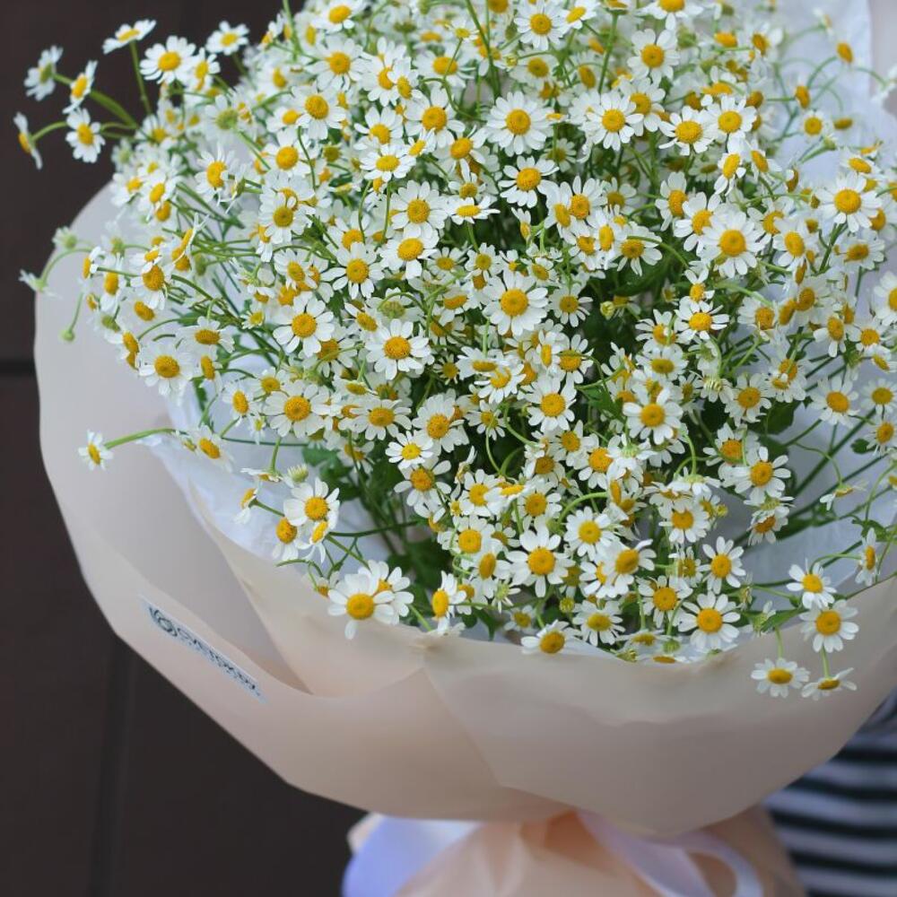 Букет  "Камомила"