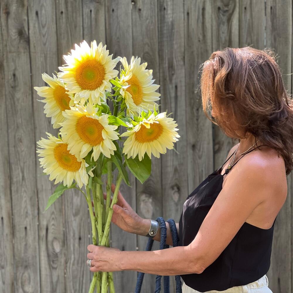 🌻Гелиантус подсолнух цветы подарок женщине, любимой девушке, жене, маме