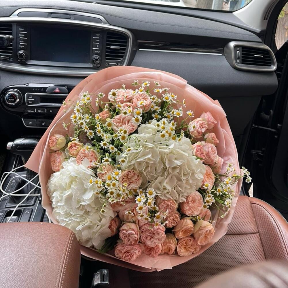 Elegancy🌸