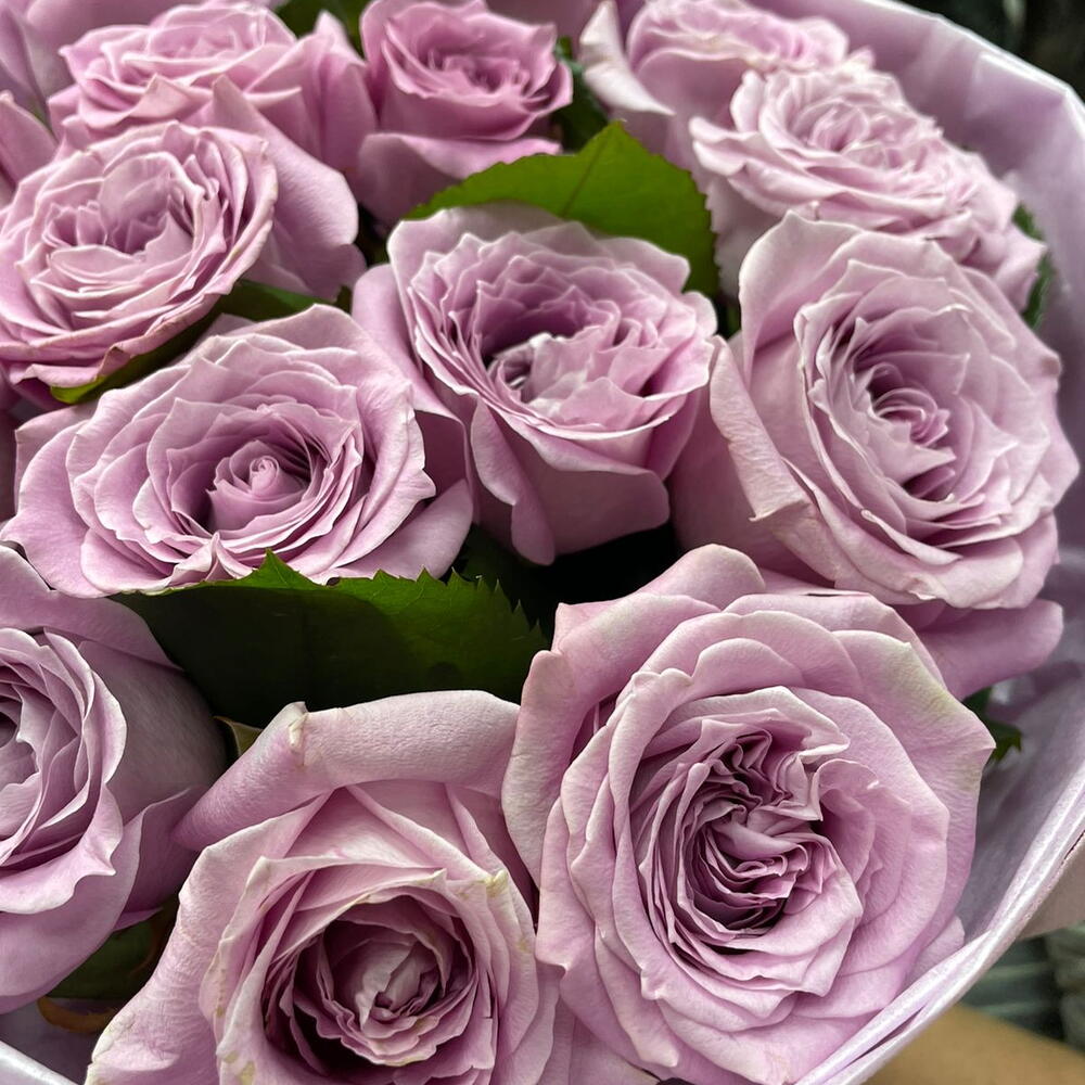 Черничное моно 💜