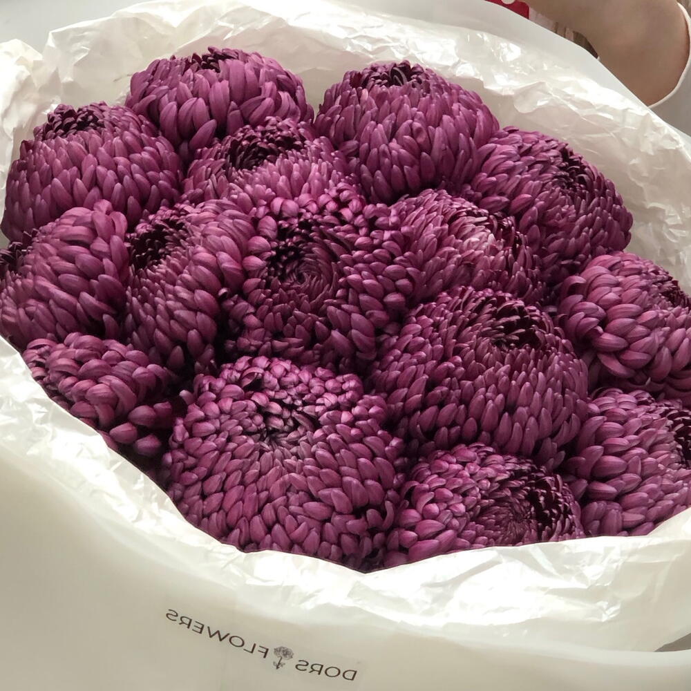 Винный погреб 🍇