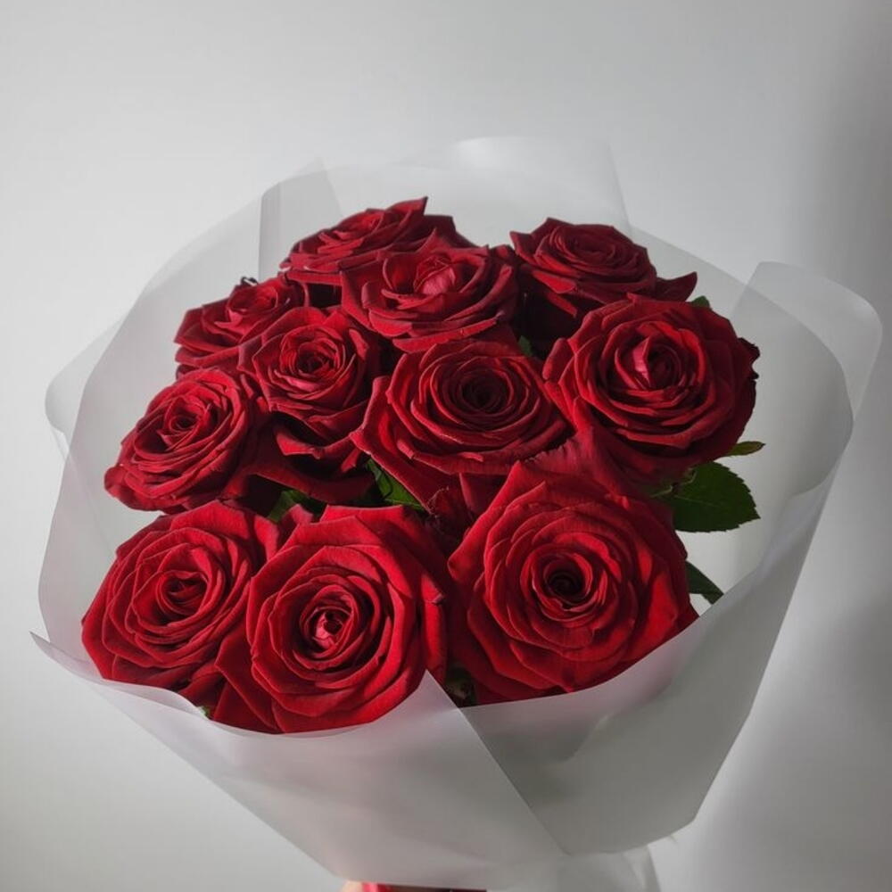 Красные розы🌹