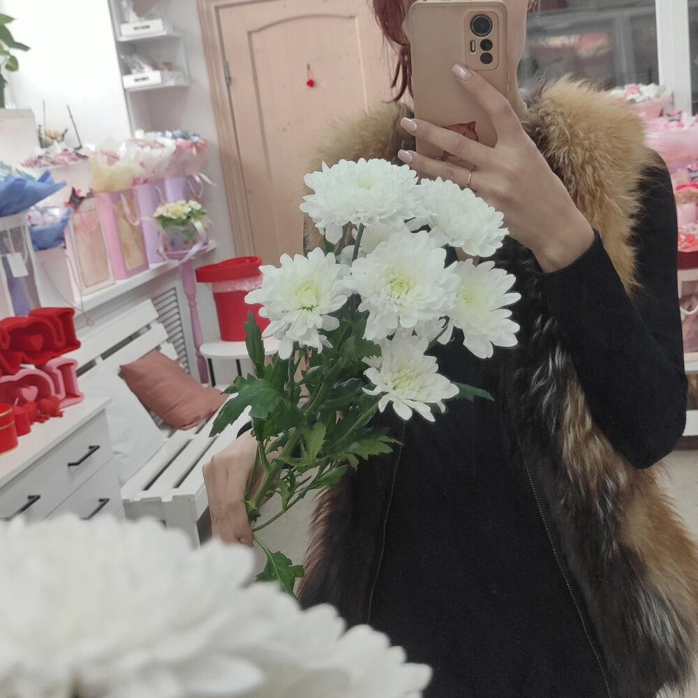Хризантема