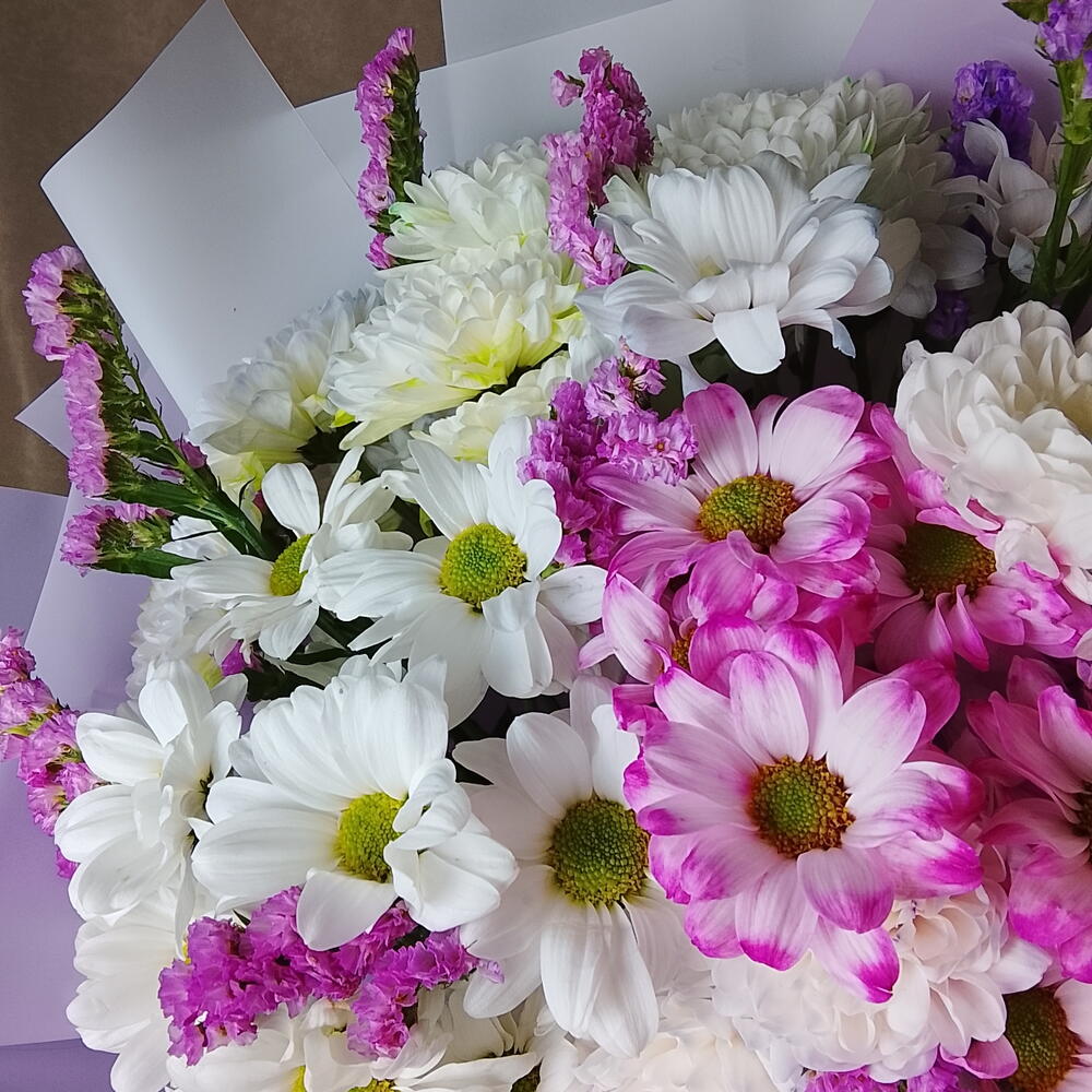 🌸 Хризантемы микс со статицей