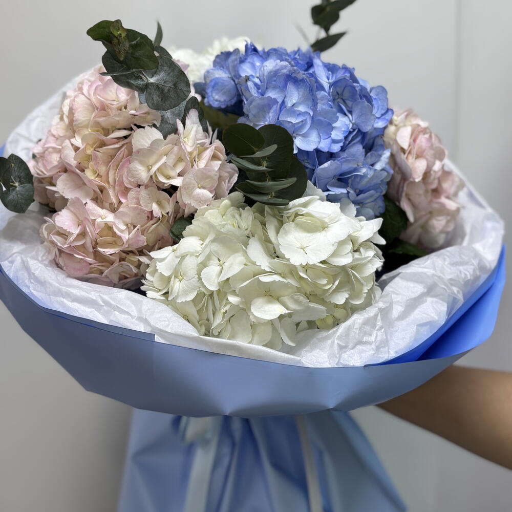 Bouquet of hydrangeas