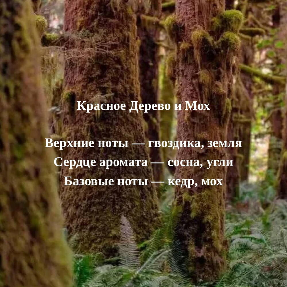 Аромасвеча "Красное дерево и мох", 100 мл