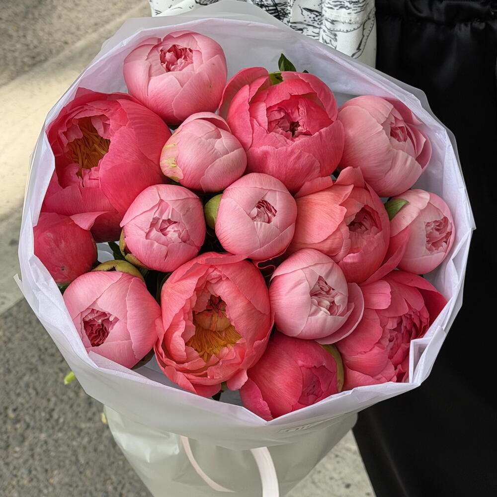 Peony mix Coral with pink