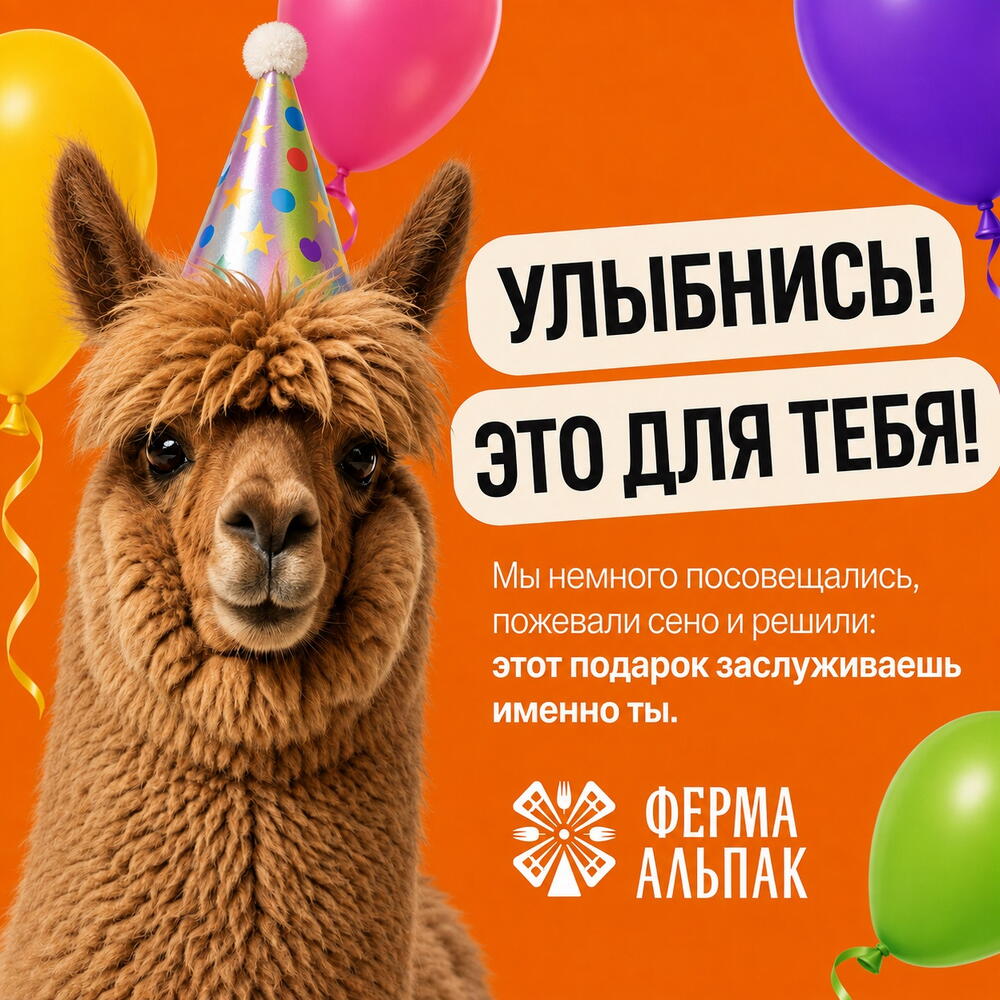 Идея для первого свидания — необычная встреча с альпаками на Ферме Альпак в Москве (Щелково)