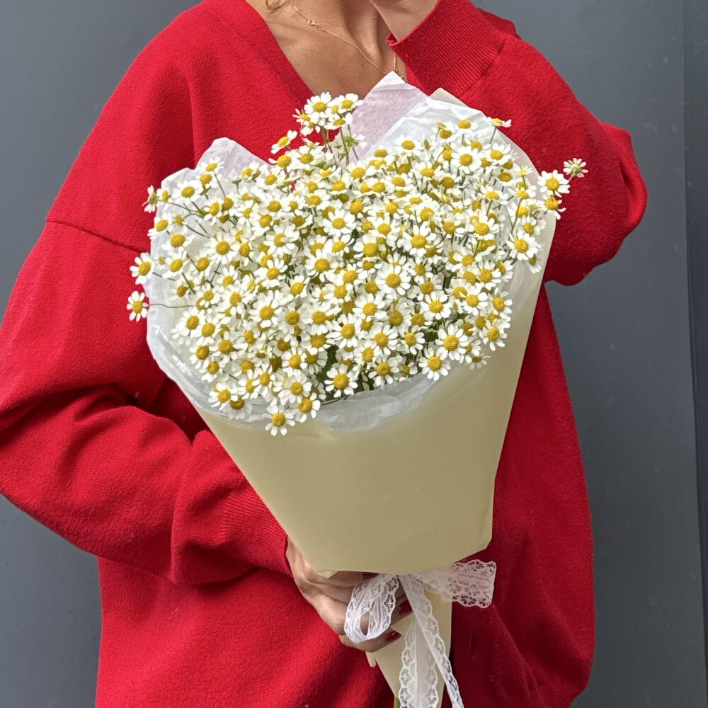 Букет Ромашки