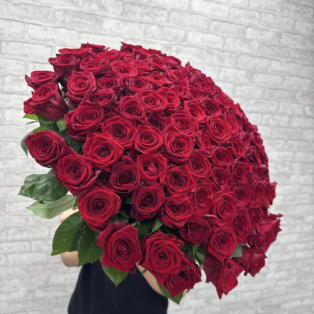 101 красная роза 🌹♥️️♥️