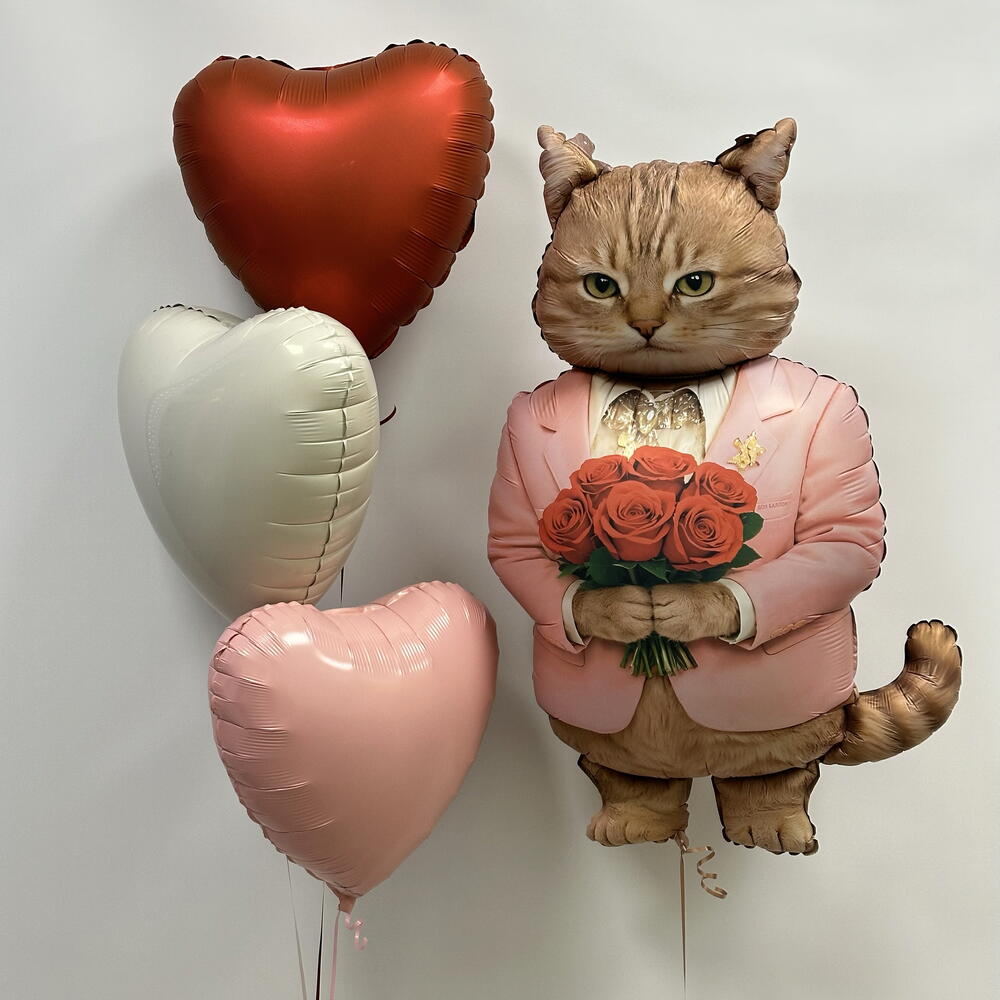 Шарики с котом котик с сердцами