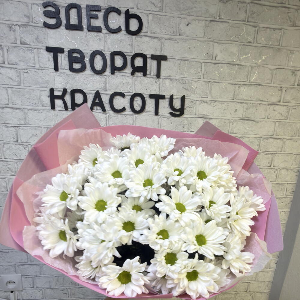 Ласточка 🤍