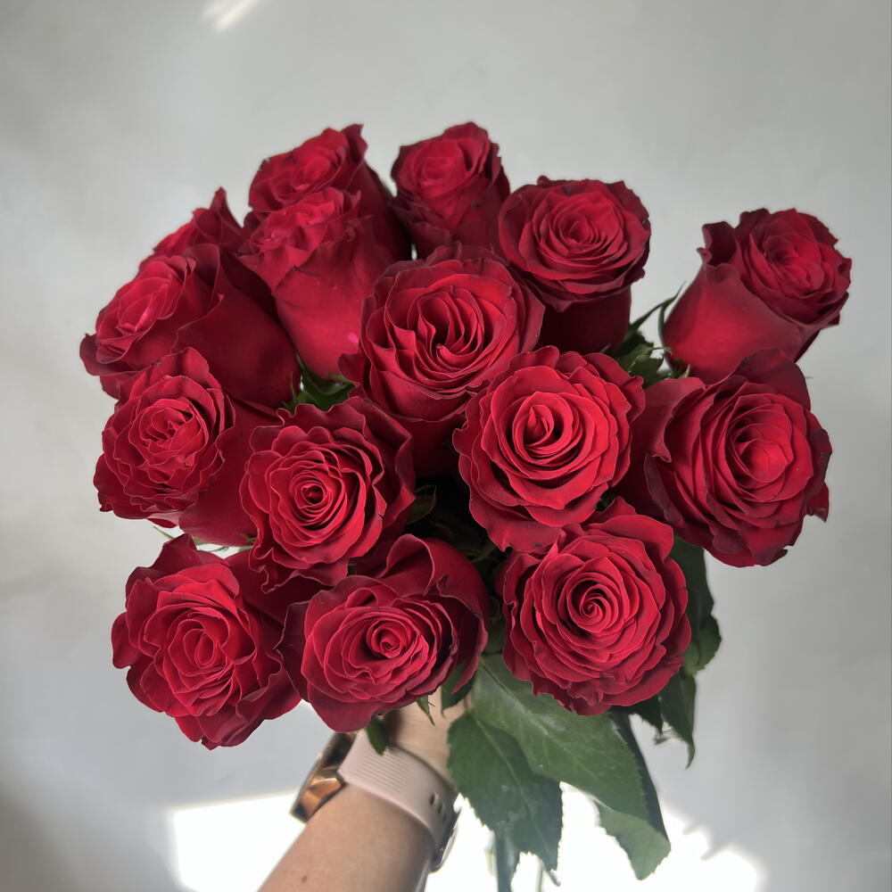 Розы Родос под ленту 🌹 15 шт
