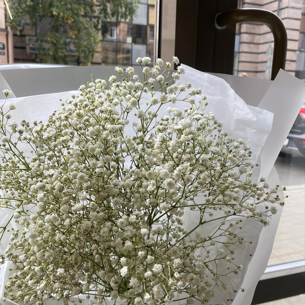 Монобукет из белой гипсофилы