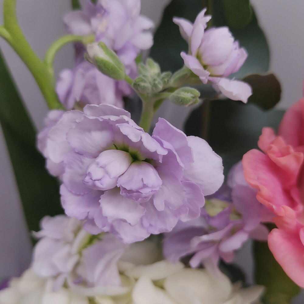 Букет"цветочная поляна",🌸