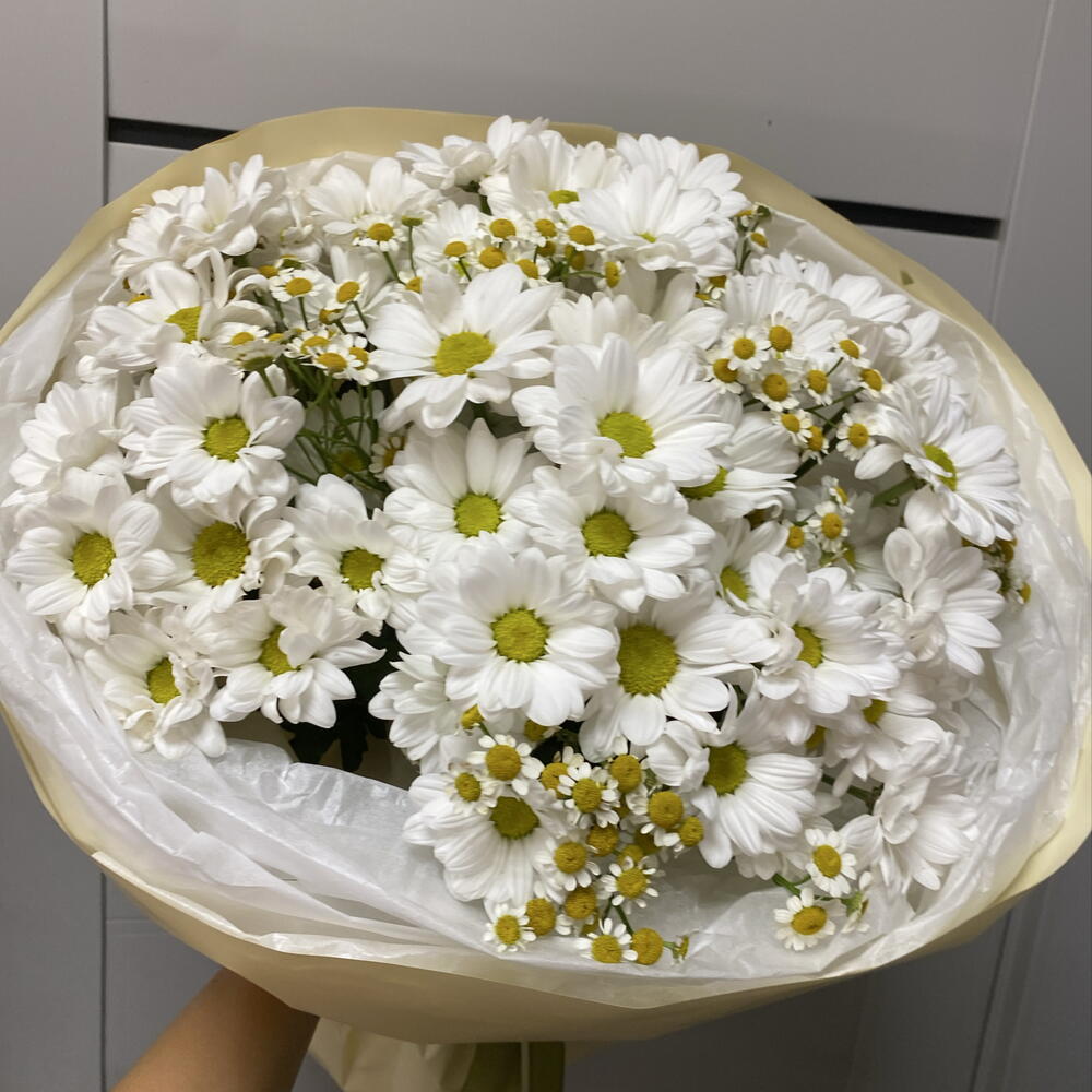 Букет «Ромашки»