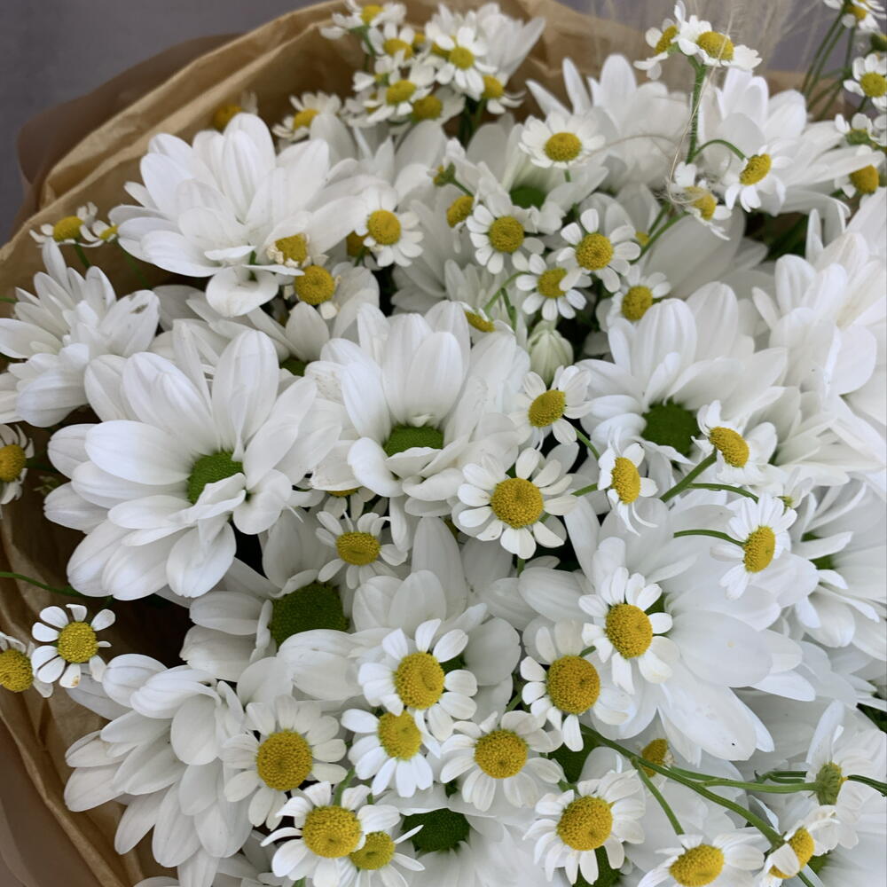Ромашки