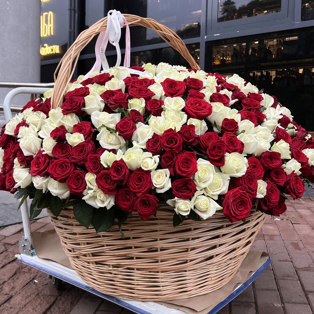 Корзина из 501 красных и белых роз