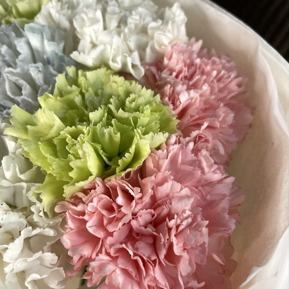 Монобукет из диантусов S