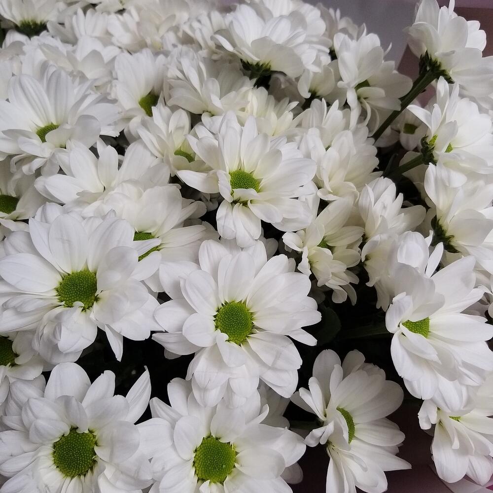 Букет гигант🥰
