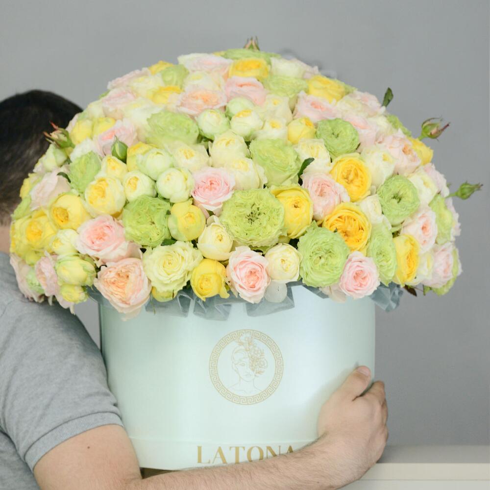 FAUNA bush peony roses