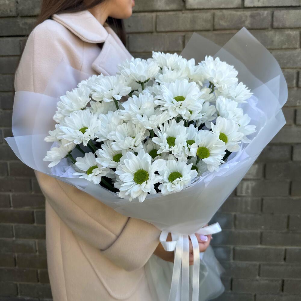 Bush Chrysanthemums in a package