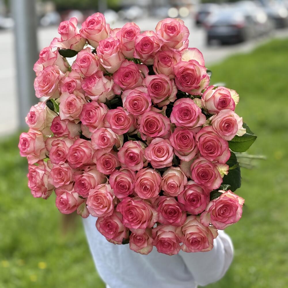 Роза Джумилия 51шт