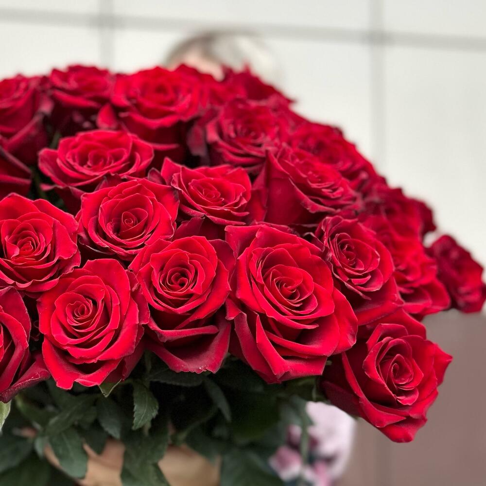 51 красная Роза