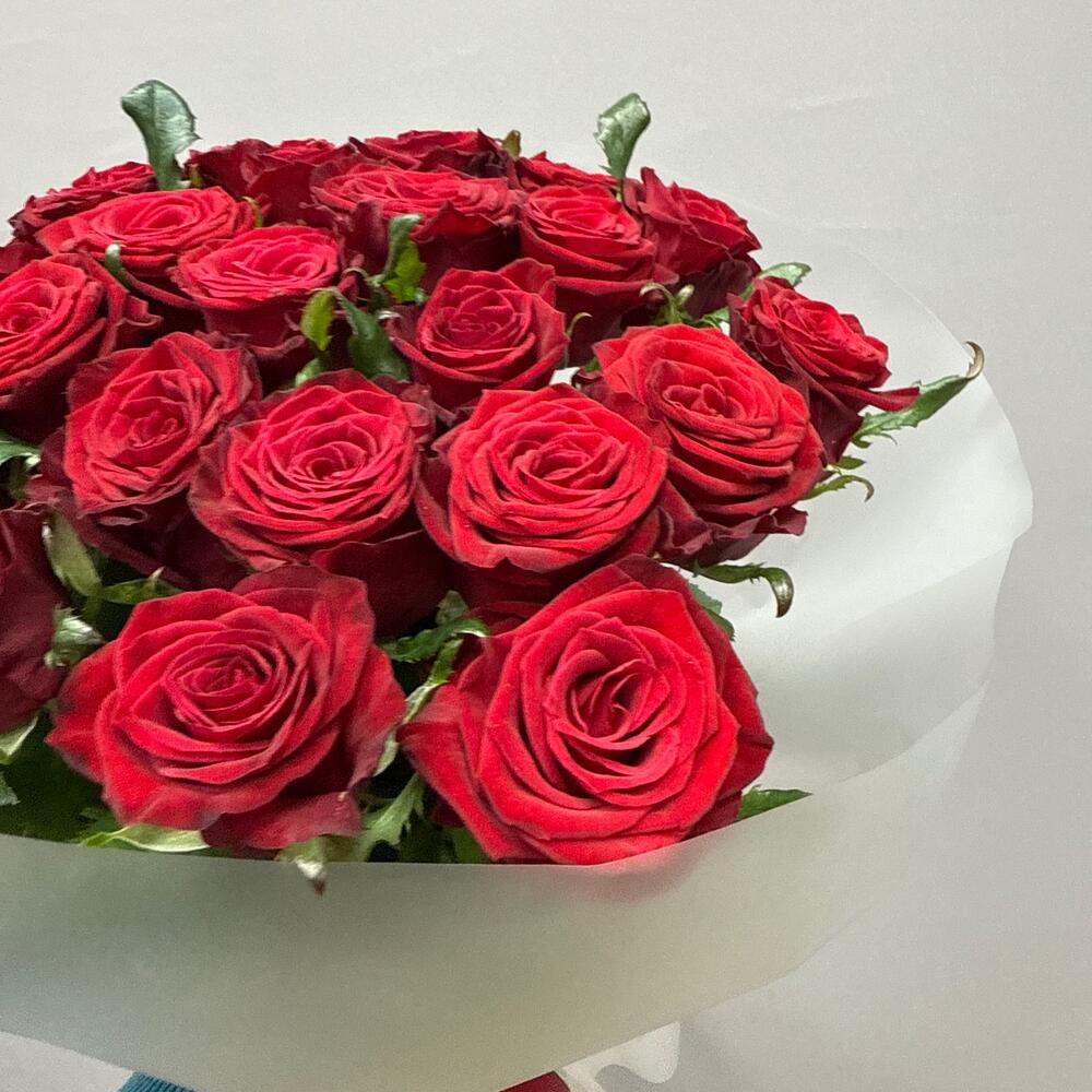 Бордовая сибирская роза 🌹 Любовь