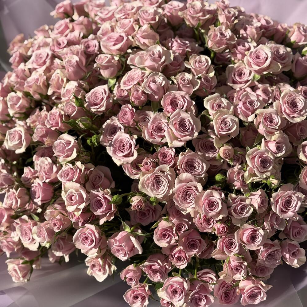 Кустовая Роза 🥀 Кения 🇰🇪