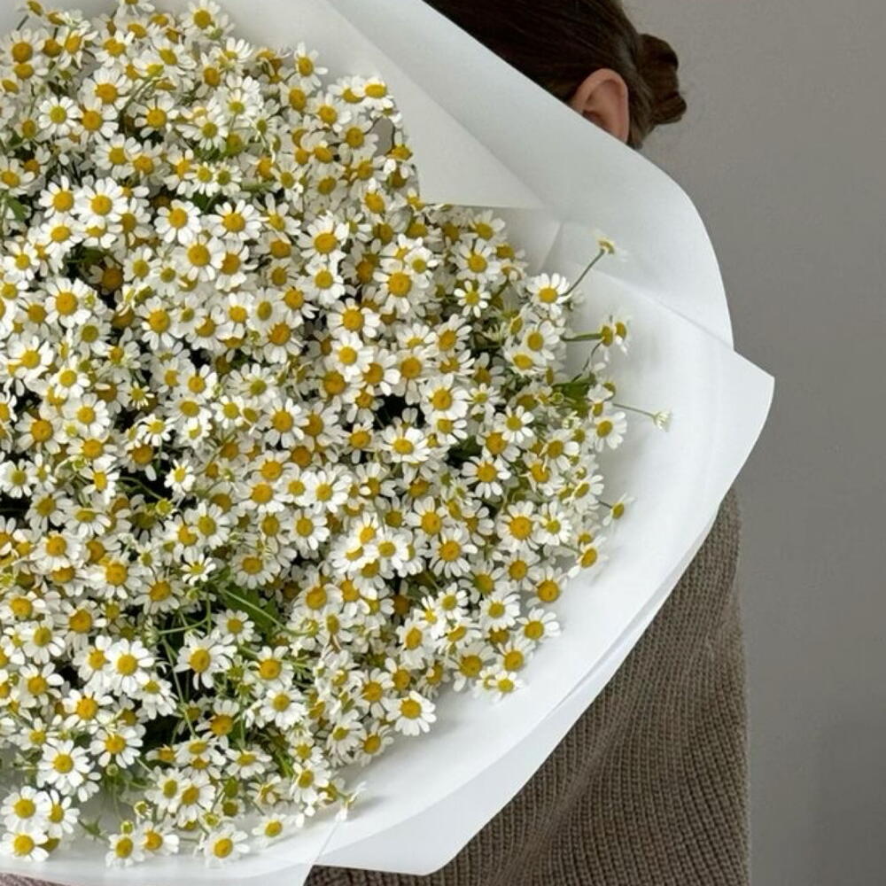 Воздушный букет из полевых ромашек 🌼