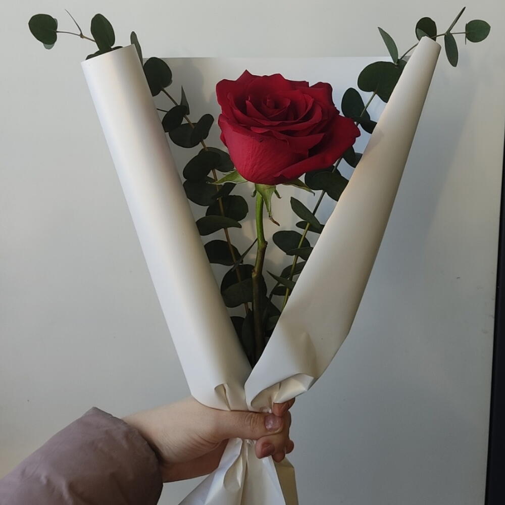 Комплимент
