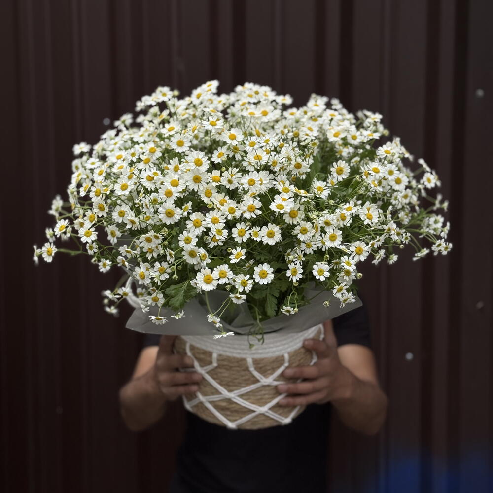 «Майская любовь»