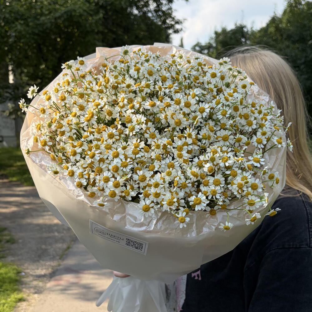 Букет поле ромашек