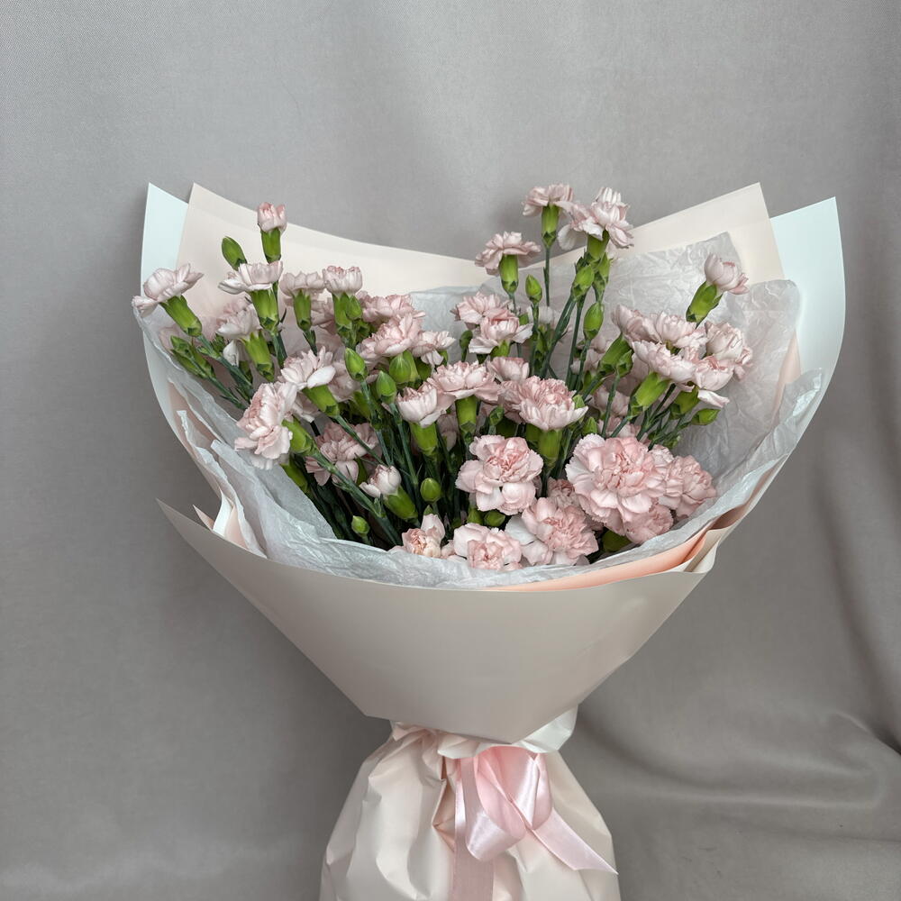 Розовые кустовые диантусы🥰🌸
