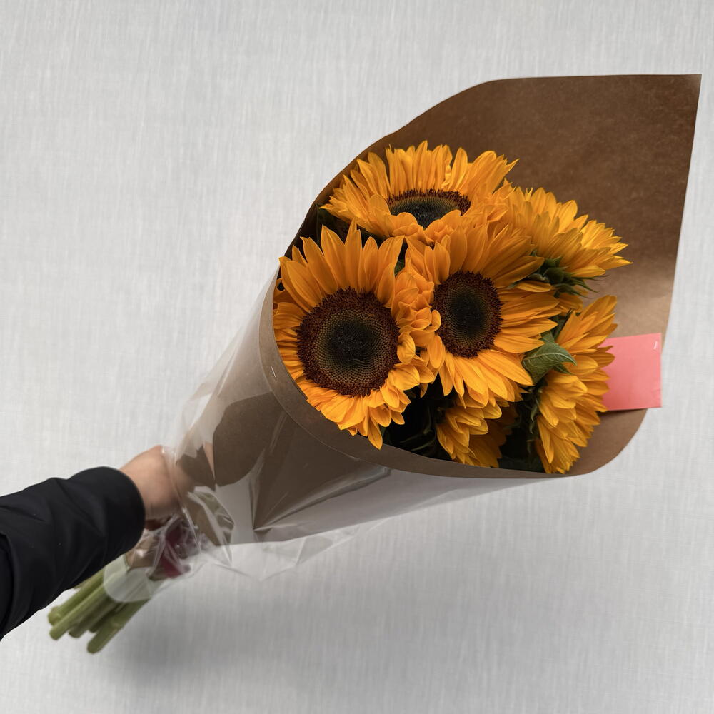 Подсолнух 🌻