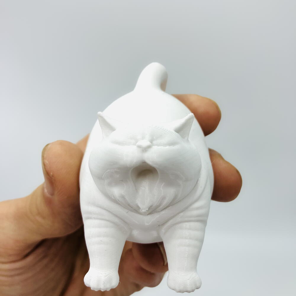 кот зевун котозилла белый