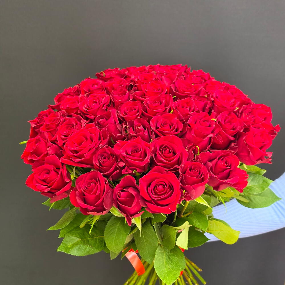 Роза из  кения 51 шт