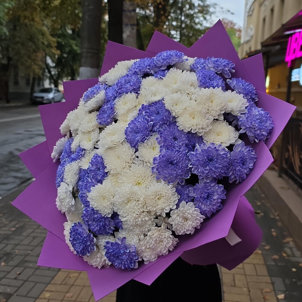 25 хризантем