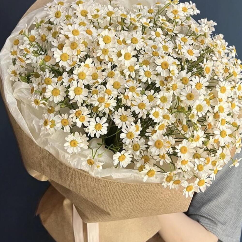 Букет из Ромашек 65 шт