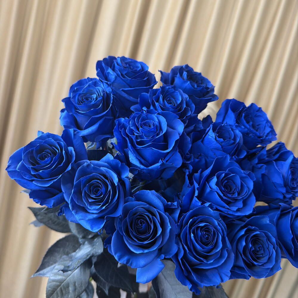Синие розы 🌹 13 штук